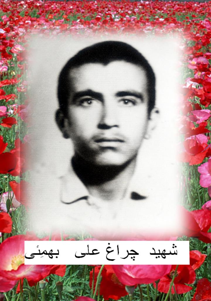 فاقد تصویر